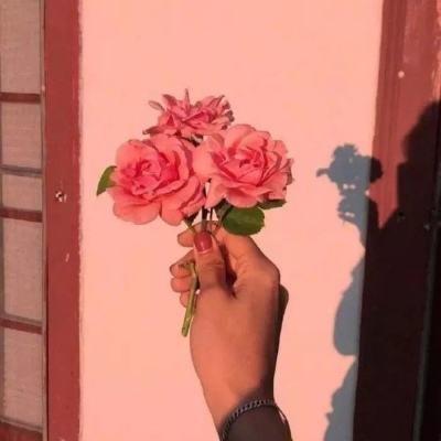 海底大作战破解版下载