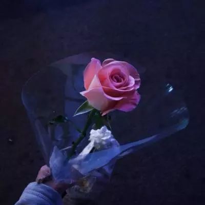 百鬼夜行百度手机版下载